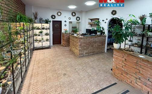 Prodej obchodních prostor 47 m², Praha 7 - Holešovice