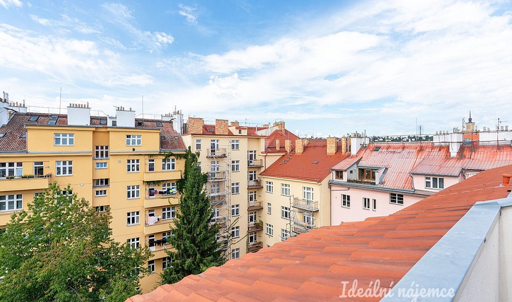 Pronájem bytu 4+kk 127 m², Praha – náhled fotky 21