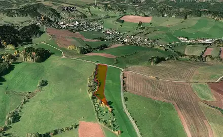 Prodej pole 15 954 m², Pecka - Kal, okres Jičín