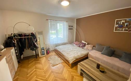 Prodej bytu 1+1 30 m², Skuherského, České Budějovice - České Budějovice 3