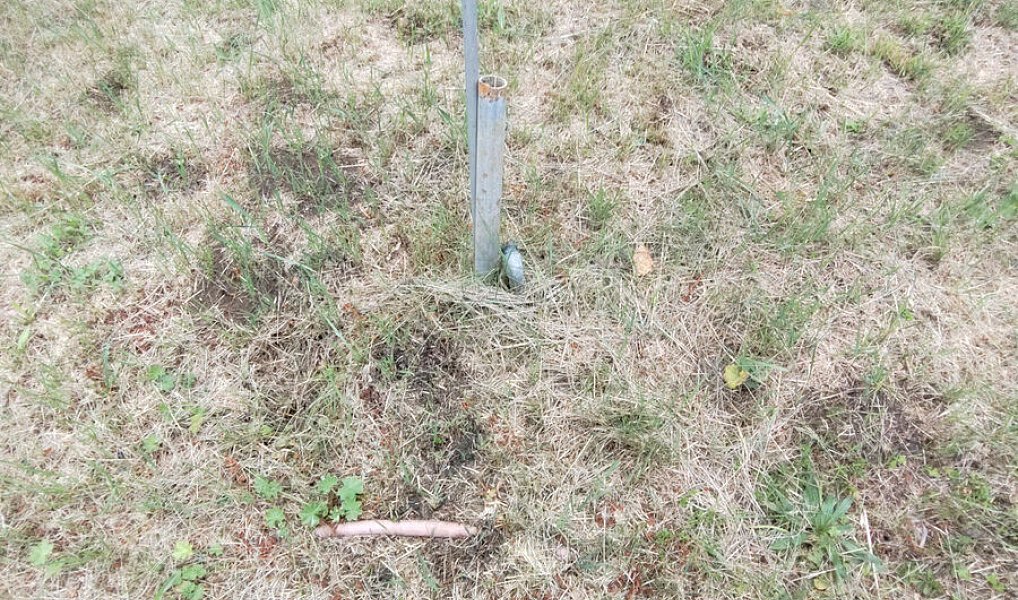 Prodej zahrady 779 m², Těšovice – náhled fotky 12
