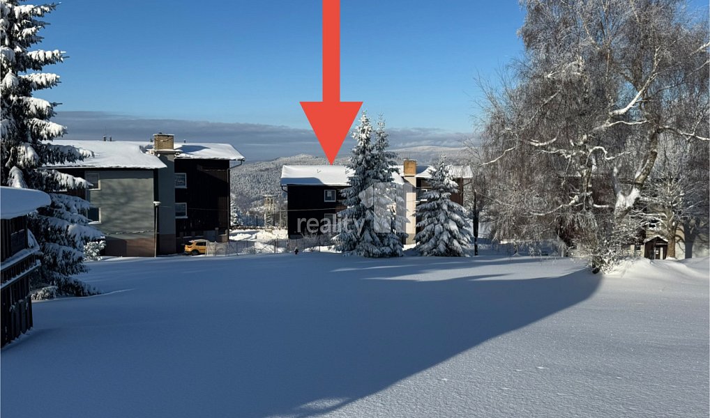 Prodej komerčního objektu (jiného typu) 500 m², Kořenov – náhled fotky 6