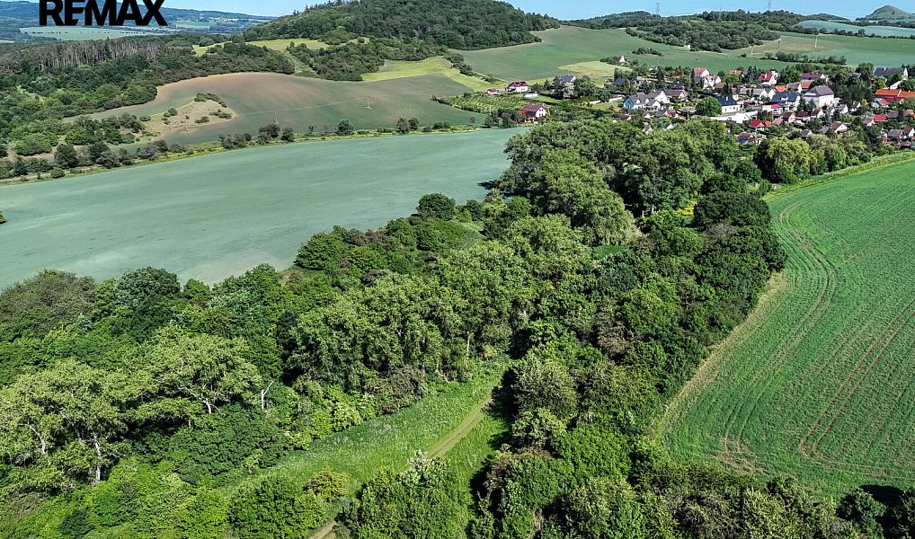Prodej lesa 5 841 m², Skršín – náhled fotky 10