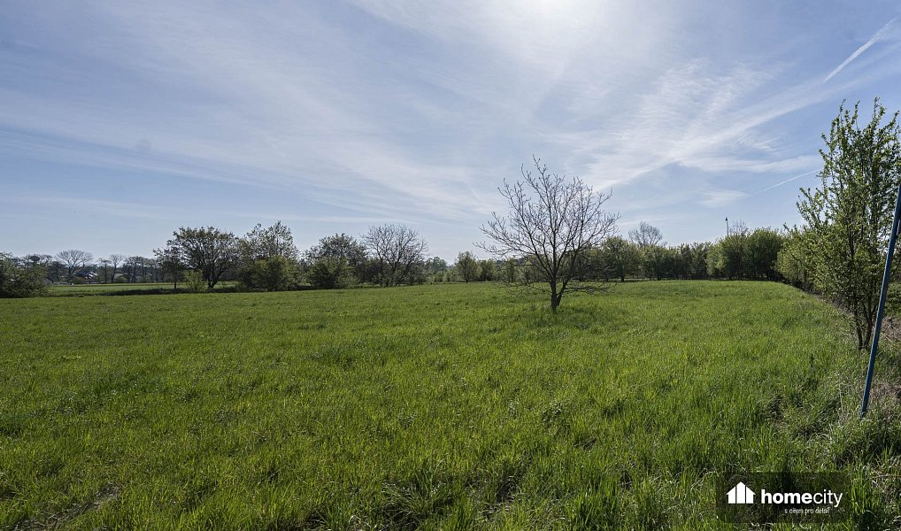 Prodej komerčního pozemku 9 749 m², Smiřice – náhled fotky 3