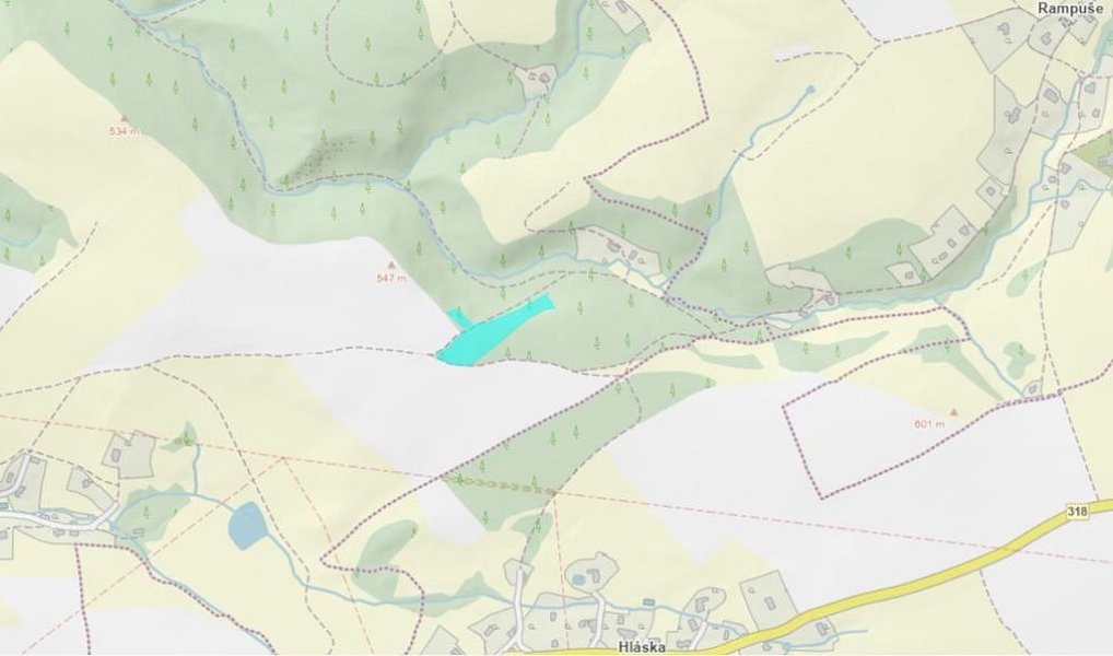 Prodej lesa 9 005 m², Liberk – náhled fotky 13