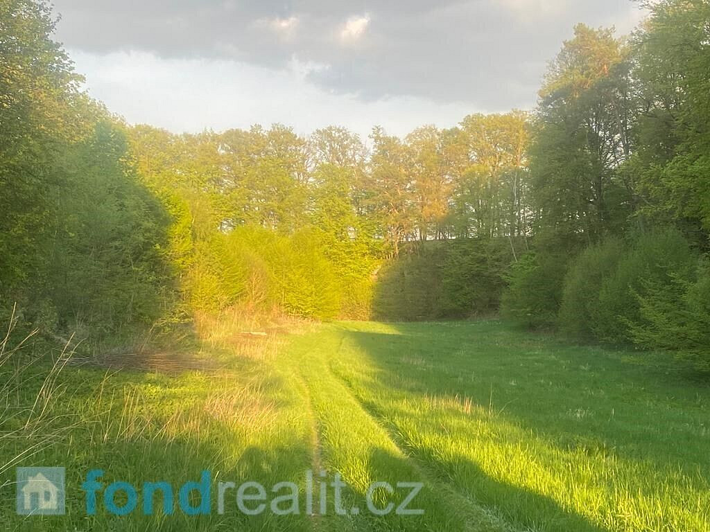 Prodej pole 3 829 m² — photo 4