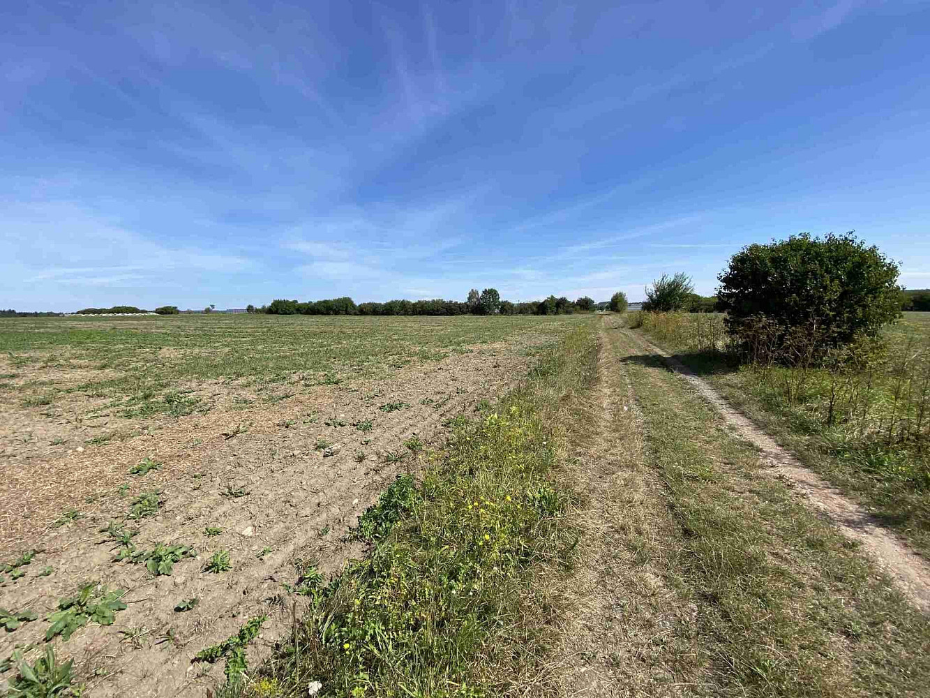 Prodej komerčního pozemku 26 974 m² – fotografie 2