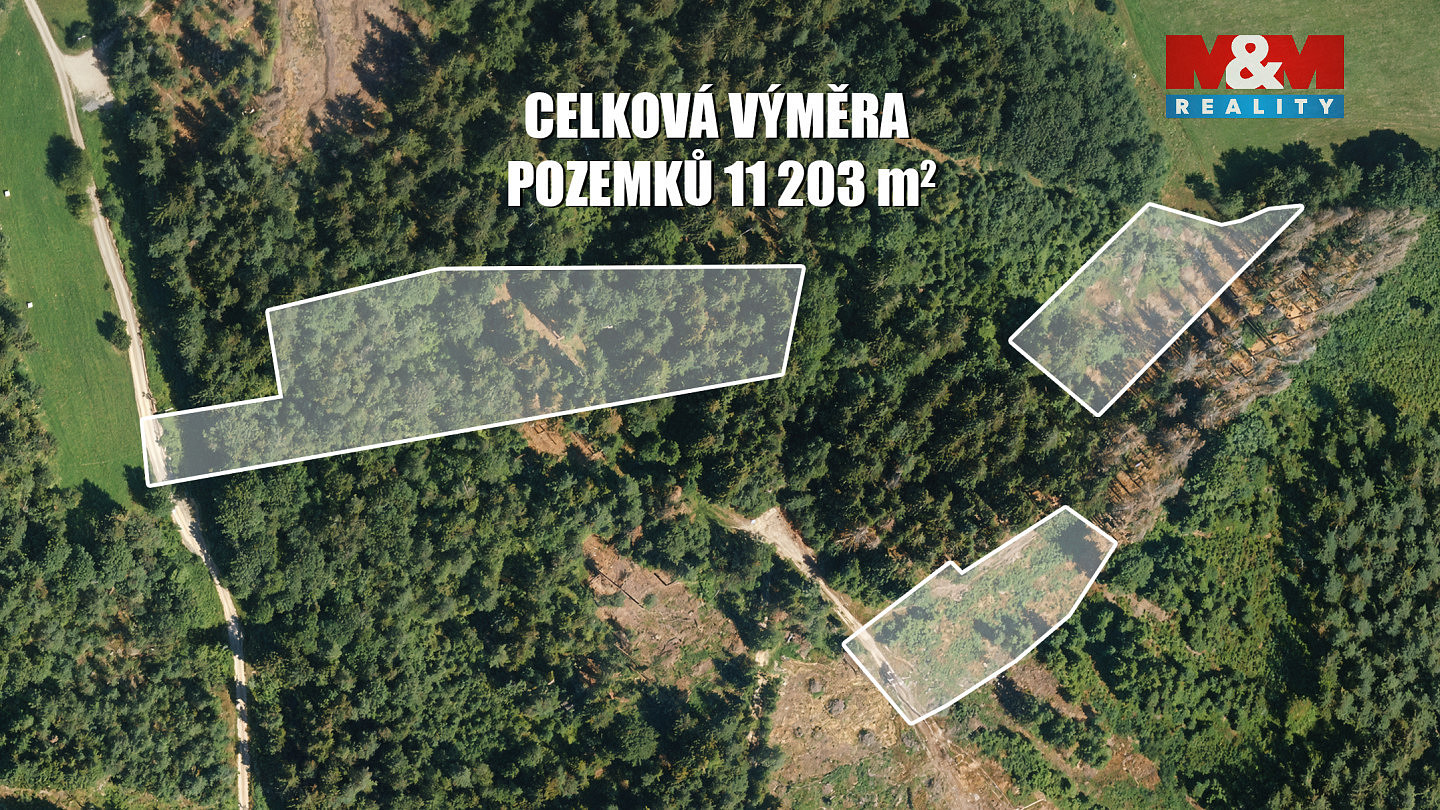 Prodej lesa 11 203 m² – fotografie 2