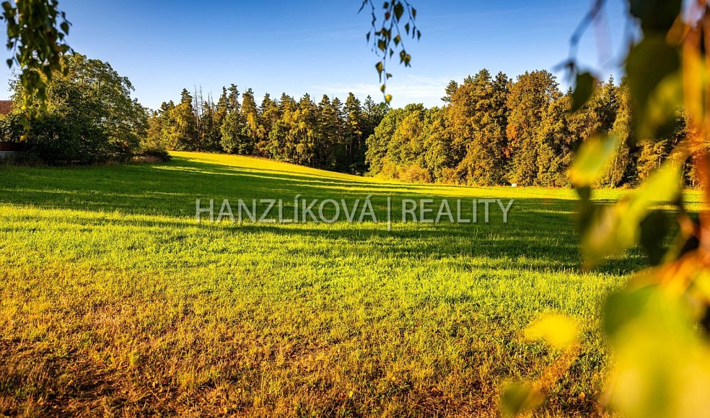 Prodej stavebního pozemku 3 914 m², Dubičné – náhled fotky 14
