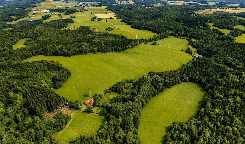 Prodej louky 98 591 m², Benešov nad Černou – náhled fotky 4
