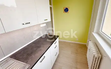 Pronájem bytu 1+1 39 m², Dřevnická, Zlín - Příluky