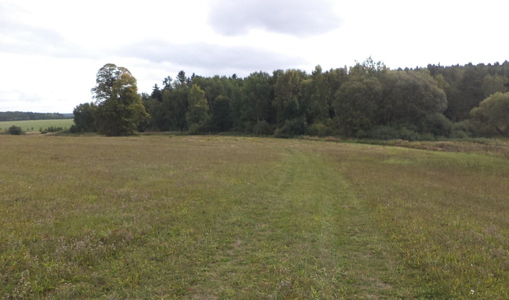 Prodej pole 2 776 m², Tachov – náhled fotky 5