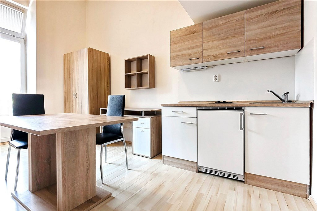 Pronájem bytu 1+kk 19 m² – další