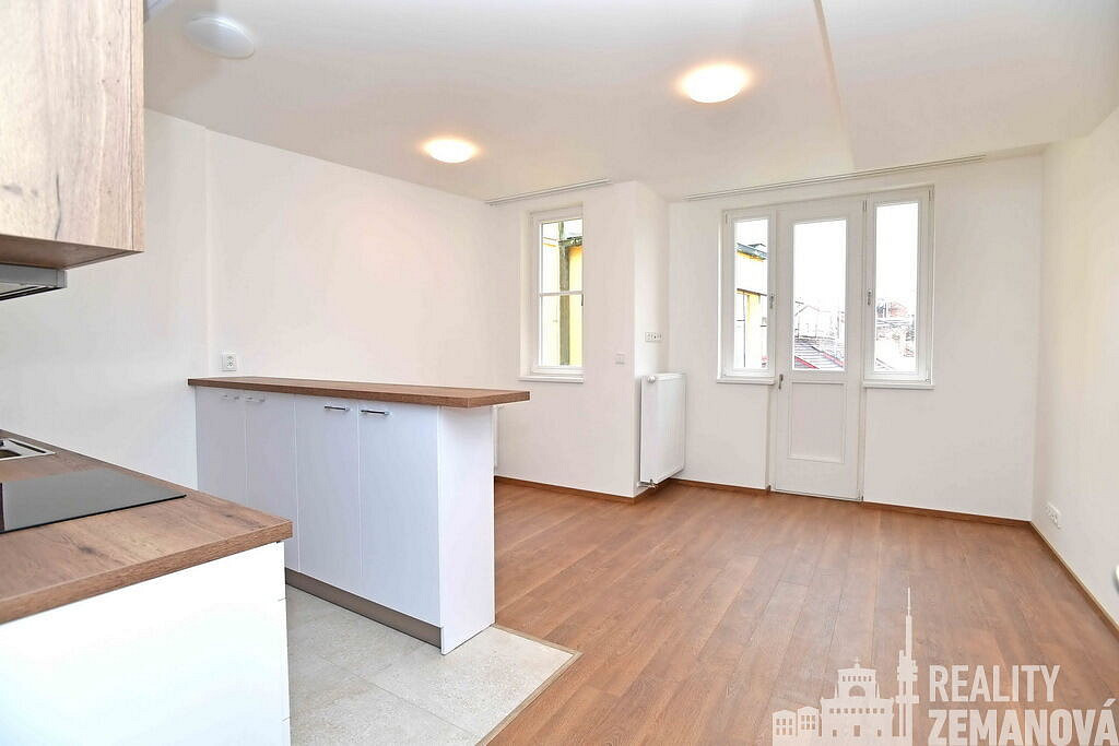 Pronájem bytu 1+kk 30 m² – fotografie 4