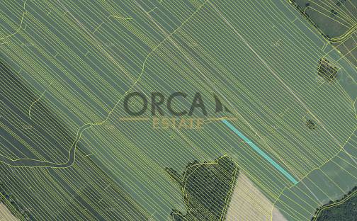 Prodej pole 7 471 m², Moravská Nová Ves, okres Břeclav