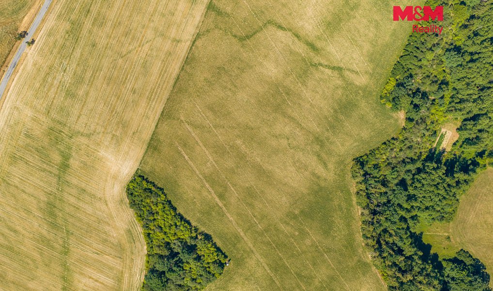 Prodej pole 4 273 m², Louňová – náhled fotky 5