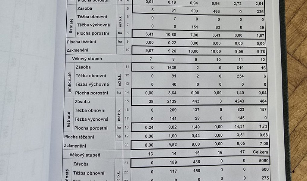 Prodej lesa 845 297 m², Kněždub – náhled fotky 17