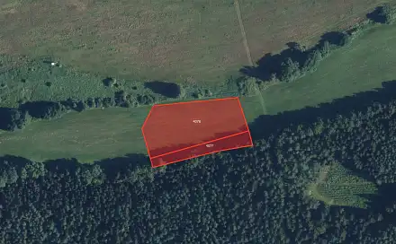 Prodej pole 2 125 m², Kunčina, okres Svitavy