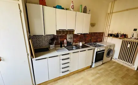 Prodej bytu 2+1 55 m², Josefa Skupy, Most