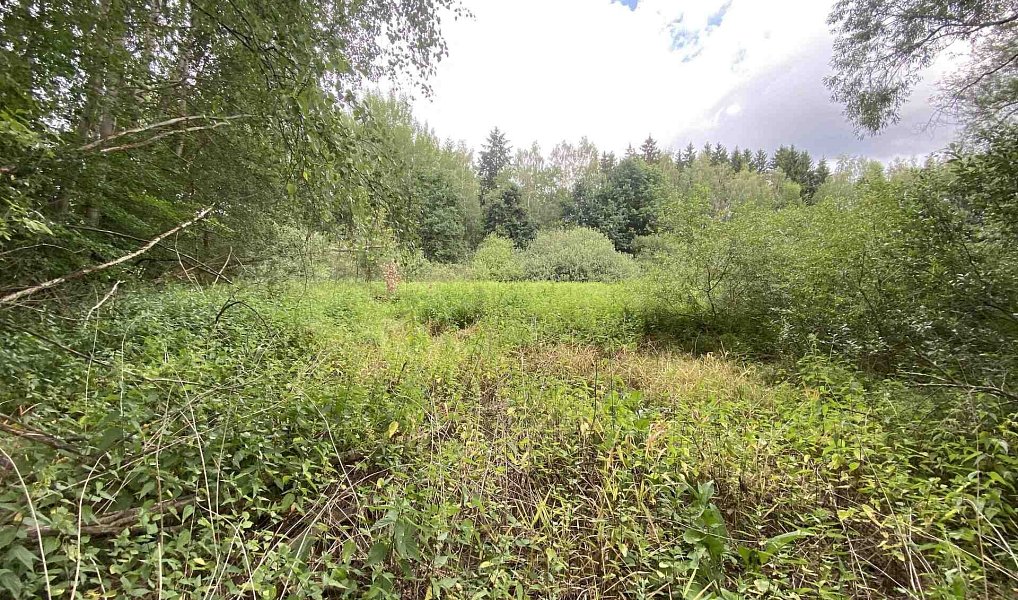 Prodej louky 6 751 m², Nové Hrady – náhled fotky 9
