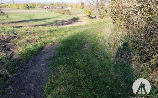 Prodej komerčního pozemku 17 553 m², Dušníky, okres Litoměřice