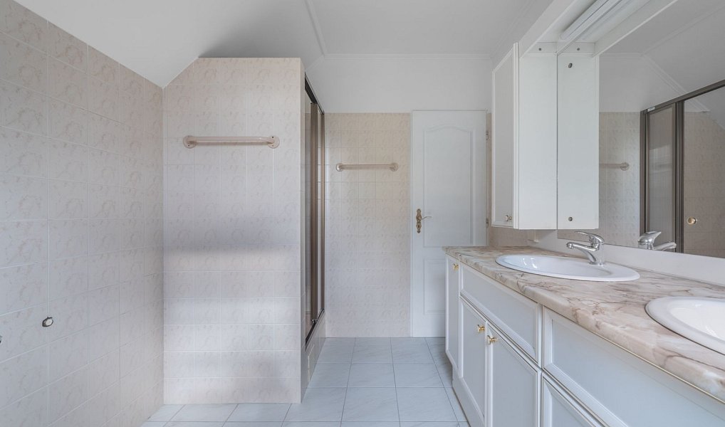 Prodej domu 289 m² s pozemkem 3 375 m², Družec – náhled fotky 28