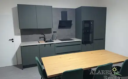 Pronájem bytu 1+1 55 m²