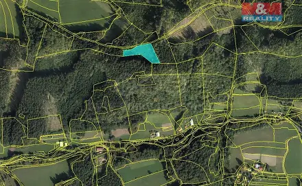 Prodej lesa 4 449 m², Leskovec, okres Vsetín
