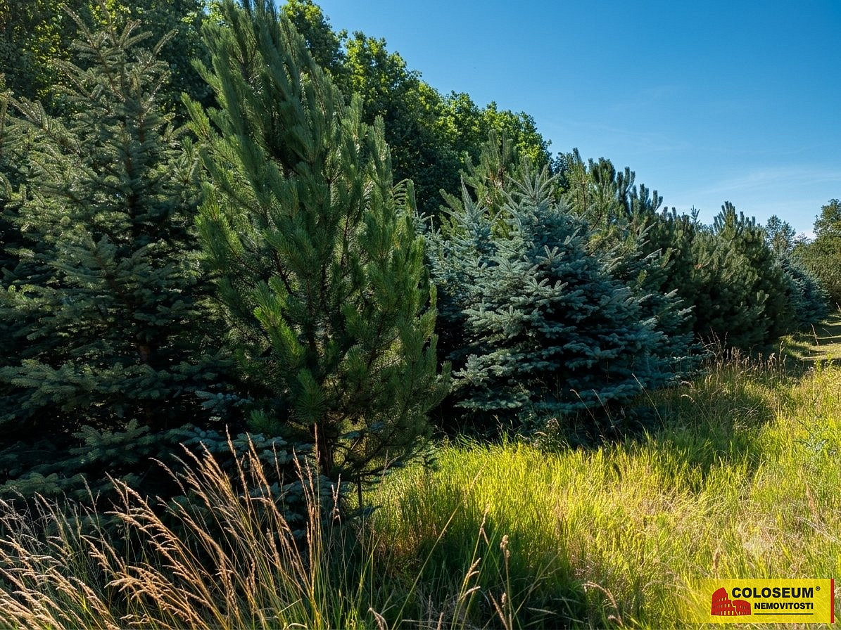Prodej pole 5 202 m² – fotografie 3