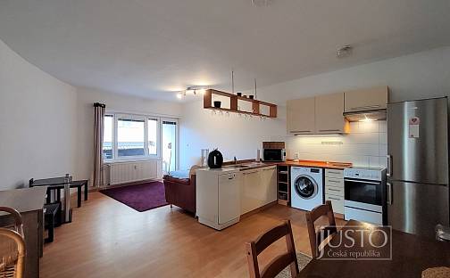 Pronájem bytu 2+kk 52 m², V Portyči, Písek - Pražské Předměstí