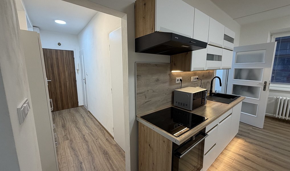 Pronájem bytu 3+kk 50 m², Žatec – náhled fotky 8