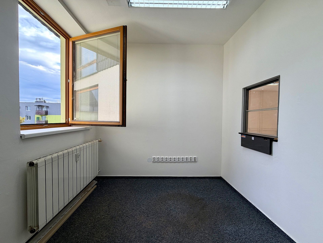 Fotka 4 z 12