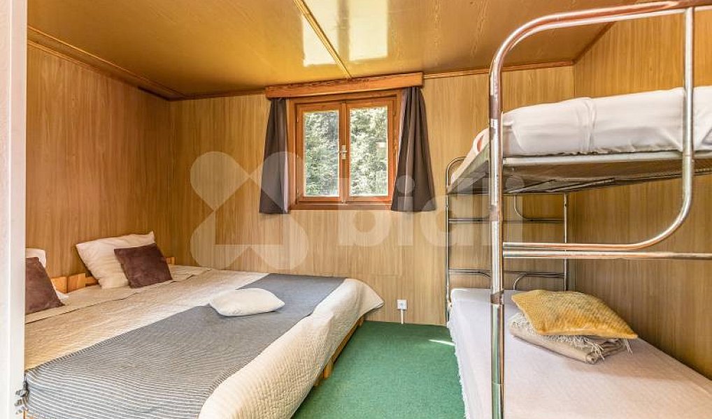 Prodej komerčního objektu (jiného typu) 12 398 m², Kájov – náhled fotky 23