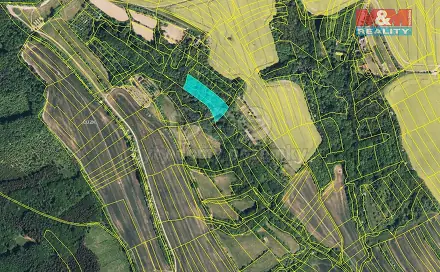 Prodej lesa 5 007 m², Traplice, okres Uherské Hradiště