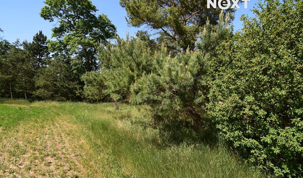 Prodej louky 7 326 m², Šlapanice – náhled fotky 4