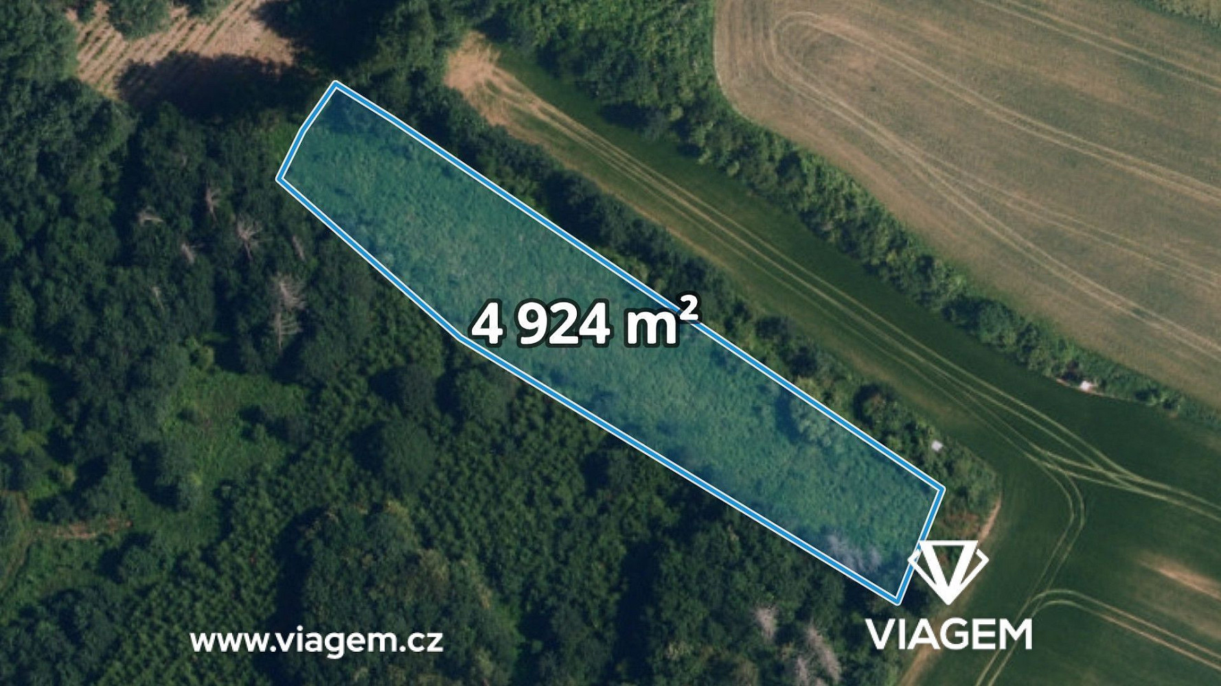Prodej lesa 2 462 m²