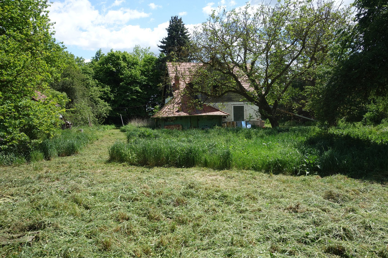 Prodej stavebního pozemku 3 236 m² – fotografie 3