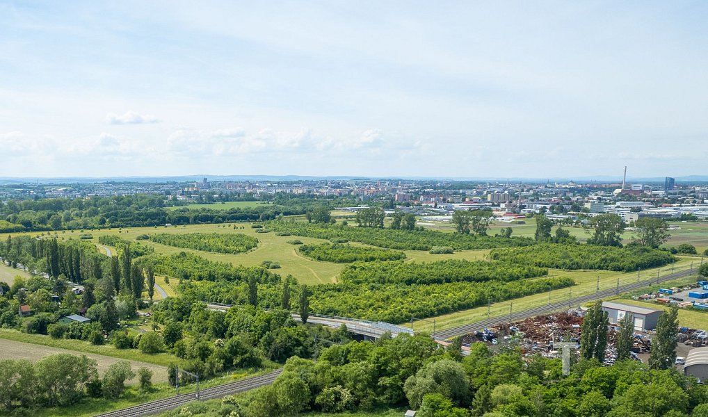 Prodej domu 430 m² s pozemkem 1 800 m², Olomouc – náhled fotky 28