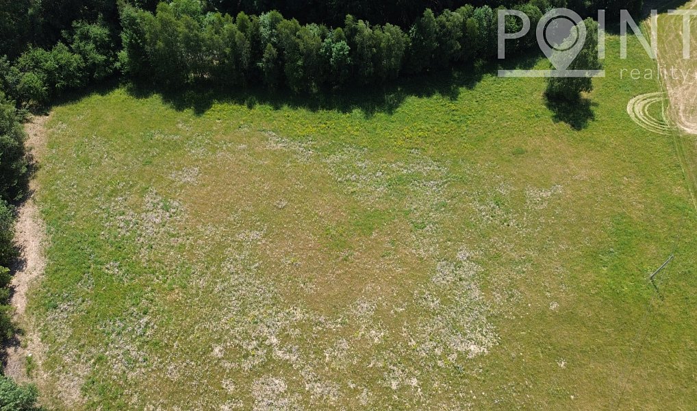 Prodej komerčního pozemku 3 632 m², Gruna – náhled fotky 3