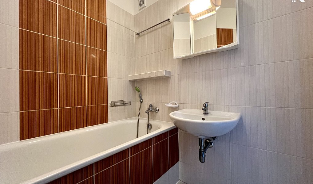 Pronájem bytu 1+1 36 m², Olomouc – náhled fotky 2
