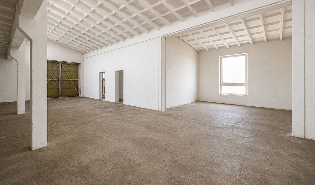 Prodej louky 301 614 m², Dolní Dvořiště – náhled fotky 13