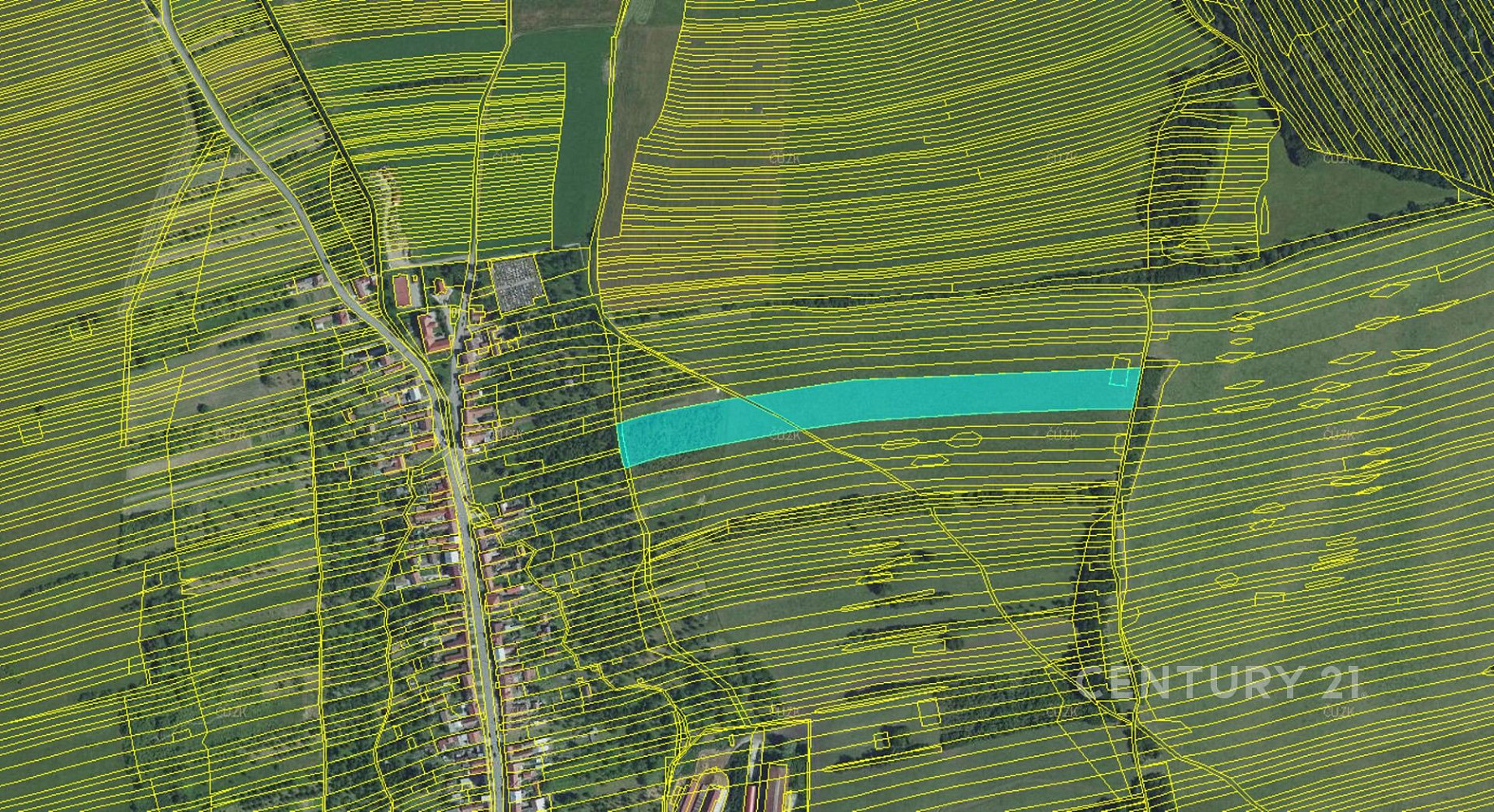Prodej pole 11 063 m² – fotografie 3