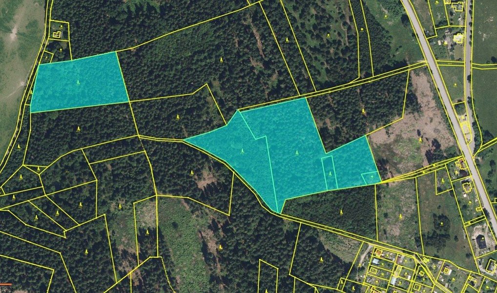 Prodej lesa 26 667 m², Malá Skála – náhled fotky 2