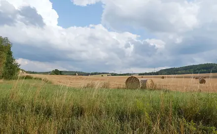 Prodej pozemku 19 928 m², Nový Knín, okres Příbram