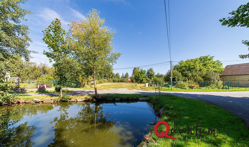 Prodej stavebního pozemku 3 214 m², Sedlec-Prčice – náhled fotky 16