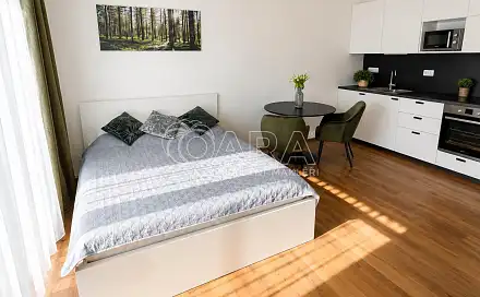 Pronájem bytu 1+kk 34 m²