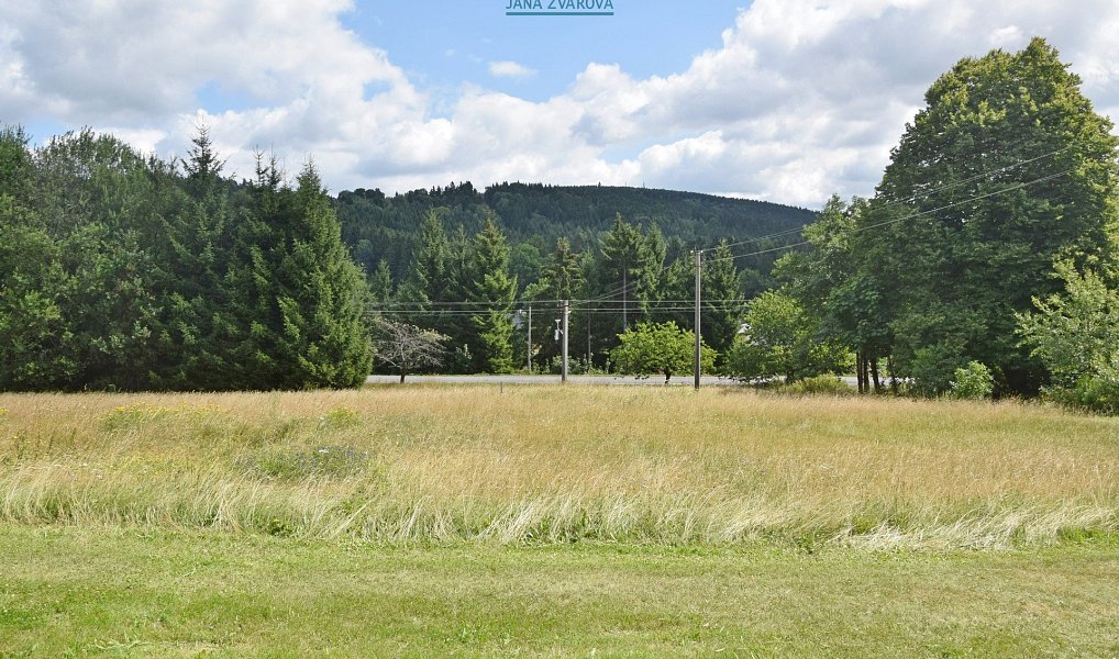 Prodej stavebního pozemku 880 m², Pěnčín – náhled fotky 5