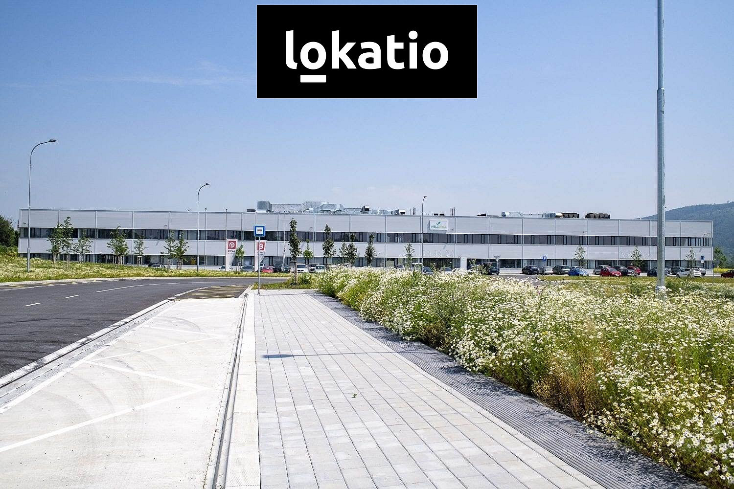 Pronájem skladovacích prostor 2 613 m² — photo 4