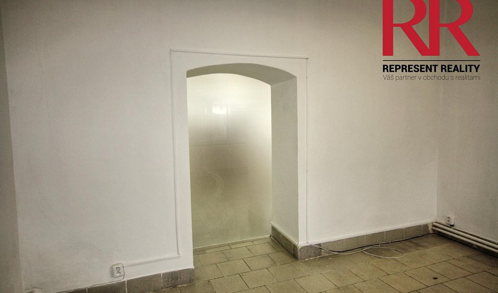 Pronájem obchodních prostor 54 m², Dobřany – náhled fotky 9