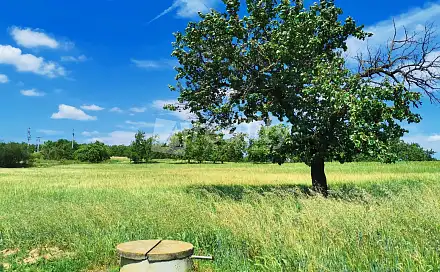 Prodej stavebního pozemku 934 m², Miroslav, okres Znojmo